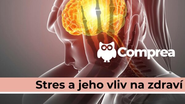 Stres a jeho vliv na zdraví: Jak se vyrovnat se stresem (webinář)